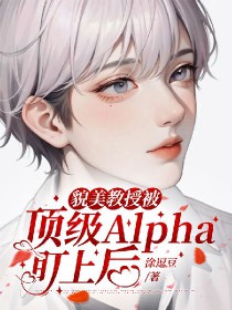 貌美教授被顶级Alpha盯上后